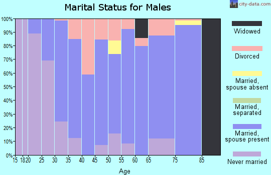 Zip code 47106 marital status for males
