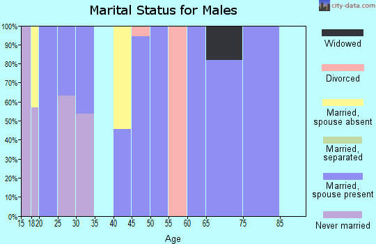 Zip code 47135 marital status for males