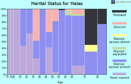Zip code 47137 marital status for males