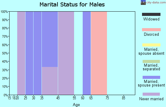 Zip code 47139 marital status for males