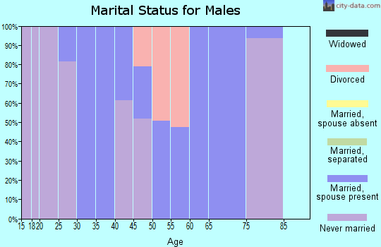 Zip code 47142 marital status for males