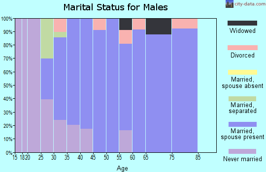 Zip code 47143 marital status for males