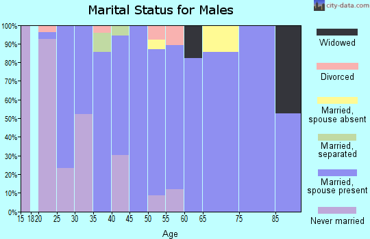 Zip code 47145 marital status for males