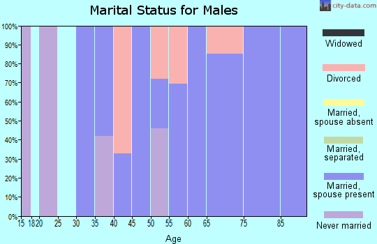 Zip code 47147 marital status for males