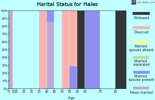 Zip code 47160 marital status for males