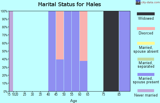 Zip code 47162 marital status for males