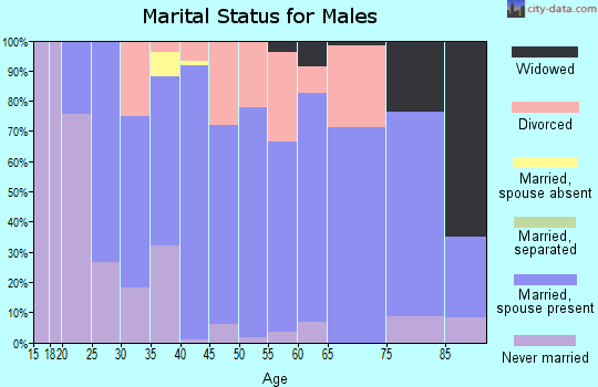 Zip code 47165 marital status for males