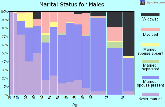 Zip code 47170 marital status for males