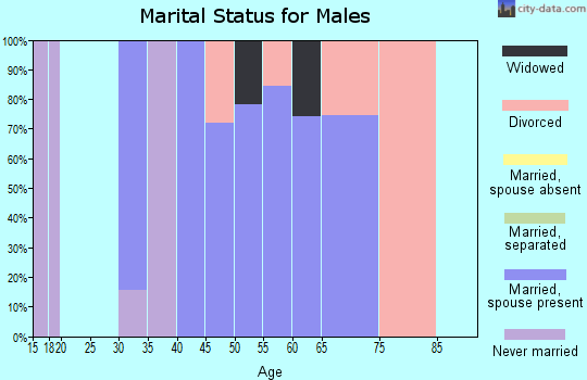 Zip code 47177 marital status for males