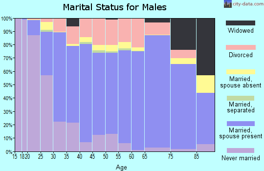Zip code 47201 marital status for males