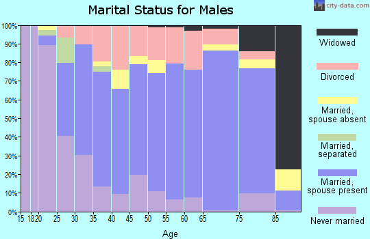 Zip code 47240 marital status for males