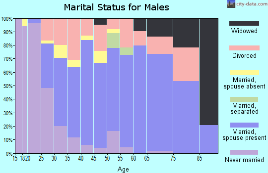 Zip code 47243 marital status for males