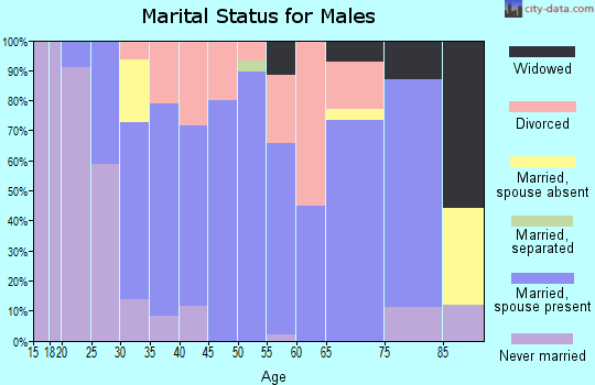 Zip code 47246 marital status for males
