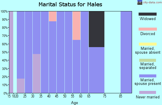Zip code 47270 marital status for males