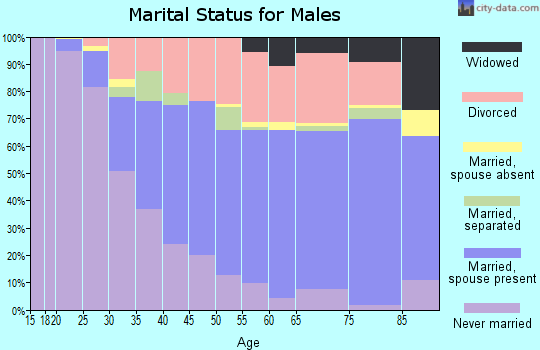 Zip code 47303 marital status for males