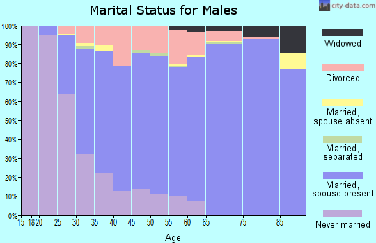 Zip code 47304 marital status for males