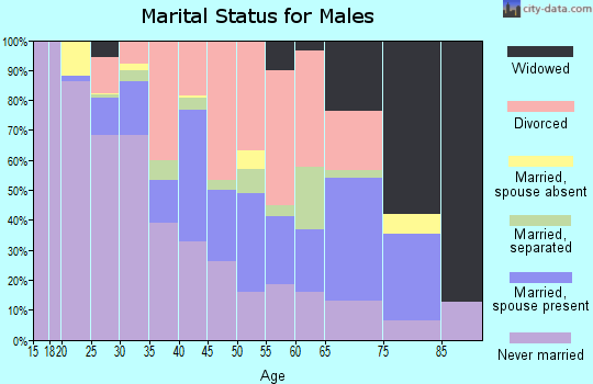 Zip code 47305 marital status for males