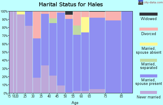 Zip code 47320 marital status for males