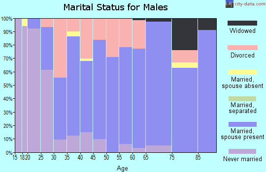Zip code 47330 marital status for males