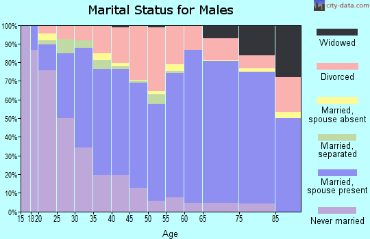 Zip code 47331 marital status for males