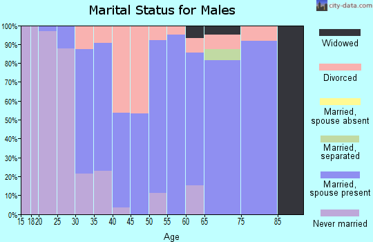 Zip code 47334 marital status for males