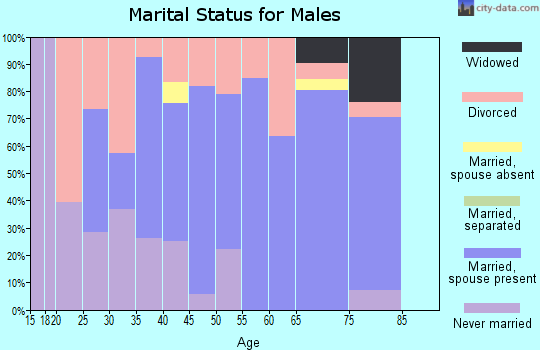 Zip code 47336 marital status for males