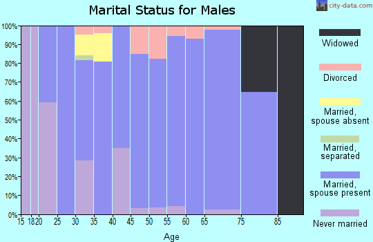 Zip code 47338 marital status for males