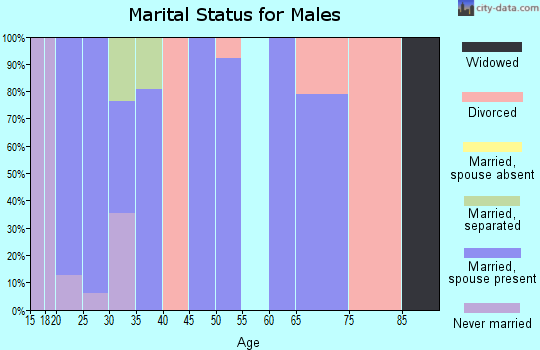 Zip code 47339 marital status for males