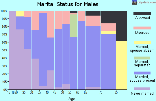 Zip code 47340 marital status for males