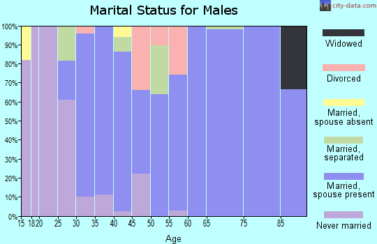 Zip code 47342 marital status for males