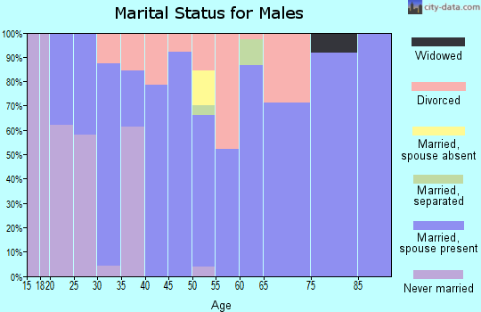 Zip code 47345 marital status for males