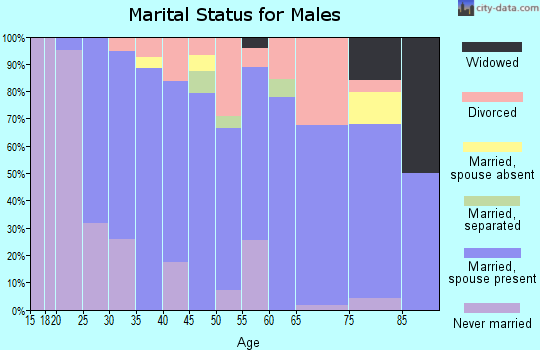 Zip code 47346 marital status for males