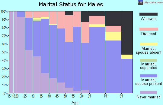 Zip code 47348 marital status for males