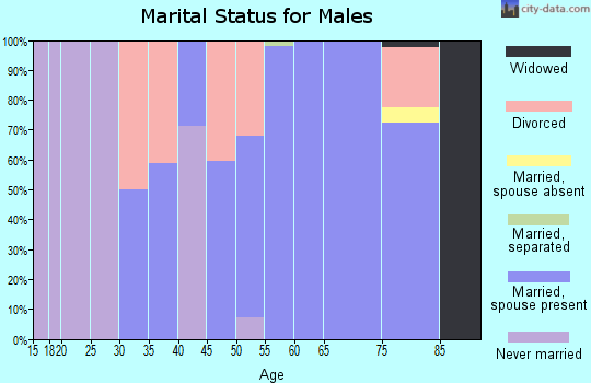 Zip code 47352 marital status for males