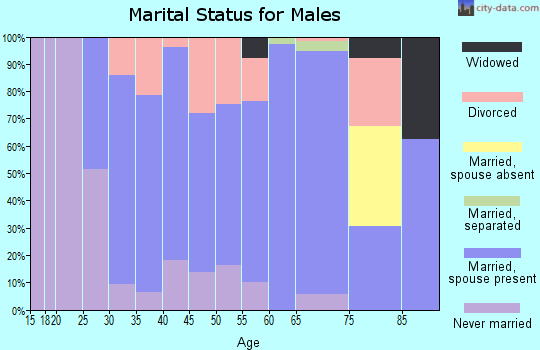 Zip code 47353 marital status for males