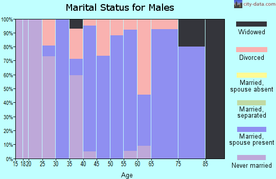 Zip code 47354 marital status for males