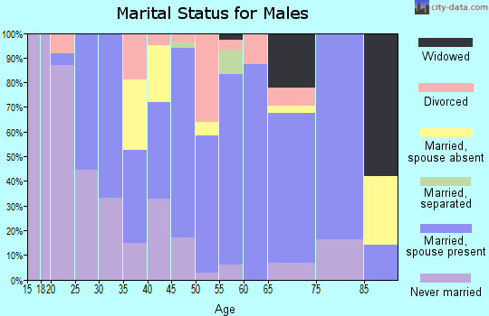 Zip code 47355 marital status for males