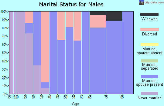 Zip code 47358 marital status for males