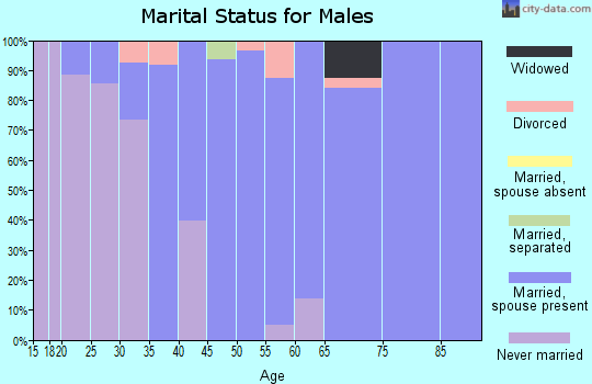 Zip code 47360 marital status for males