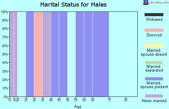 Zip code 47361 marital status for males