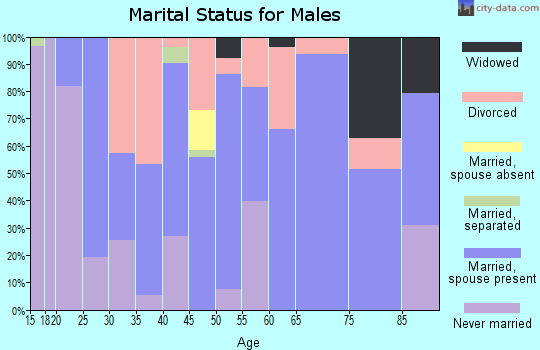 Zip code 47368 marital status for males