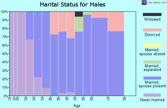Zip code 47369 marital status for males