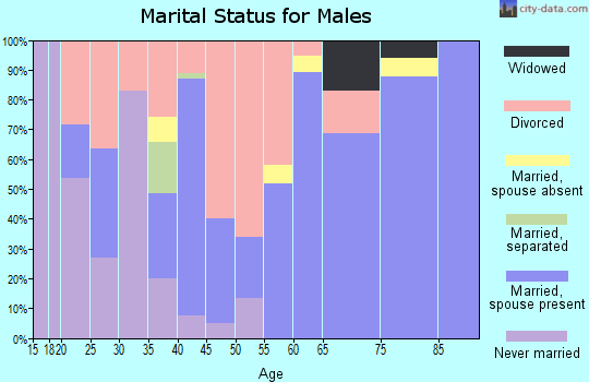 Zip code 47373 marital status for males