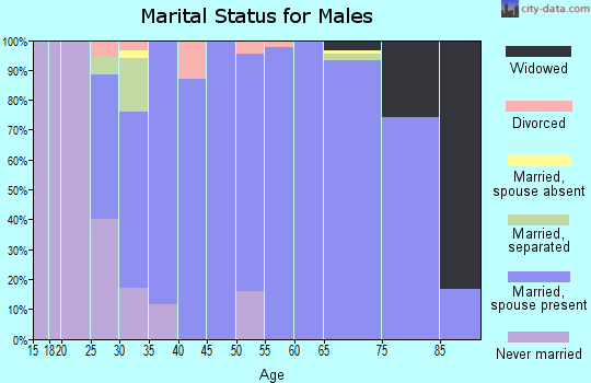 Zip code 47380 marital status for males