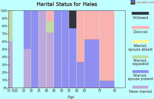 Zip code 47381 marital status for males