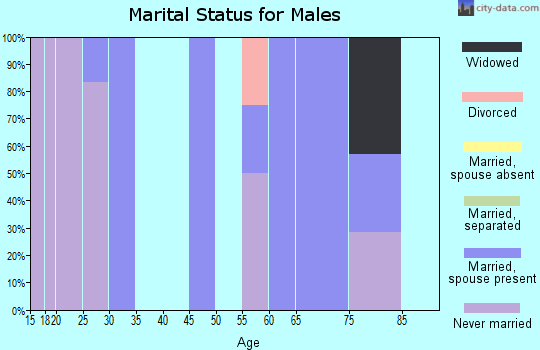 Zip code 47382 marital status for males