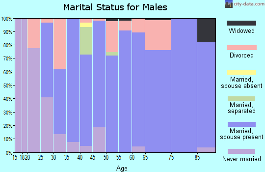 Zip code 47383 marital status for males