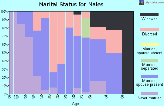 Zip code 47384 marital status for males