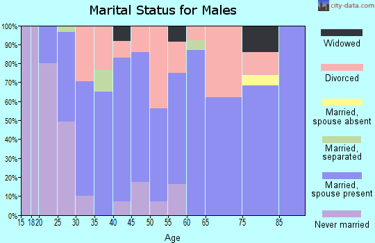 Zip code 47390 marital status for males