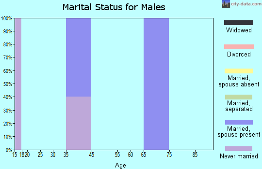 Zip code 47392 marital status for males